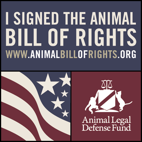 Animal Bill of Rights