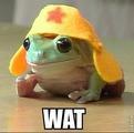wat frog