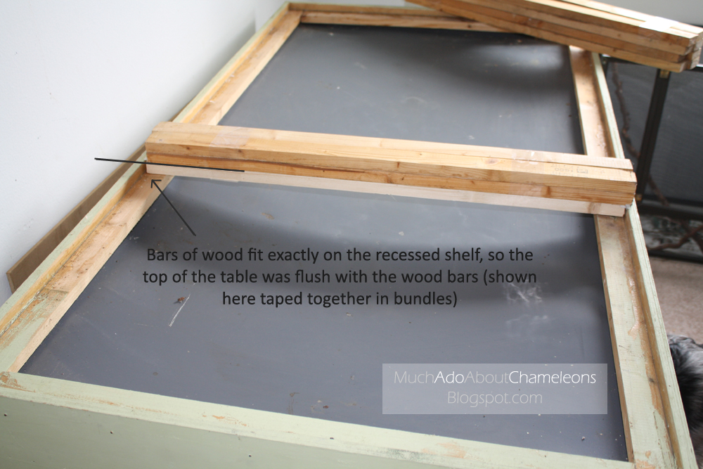 How To Make A Drainage Table Much Ado About Chameleons