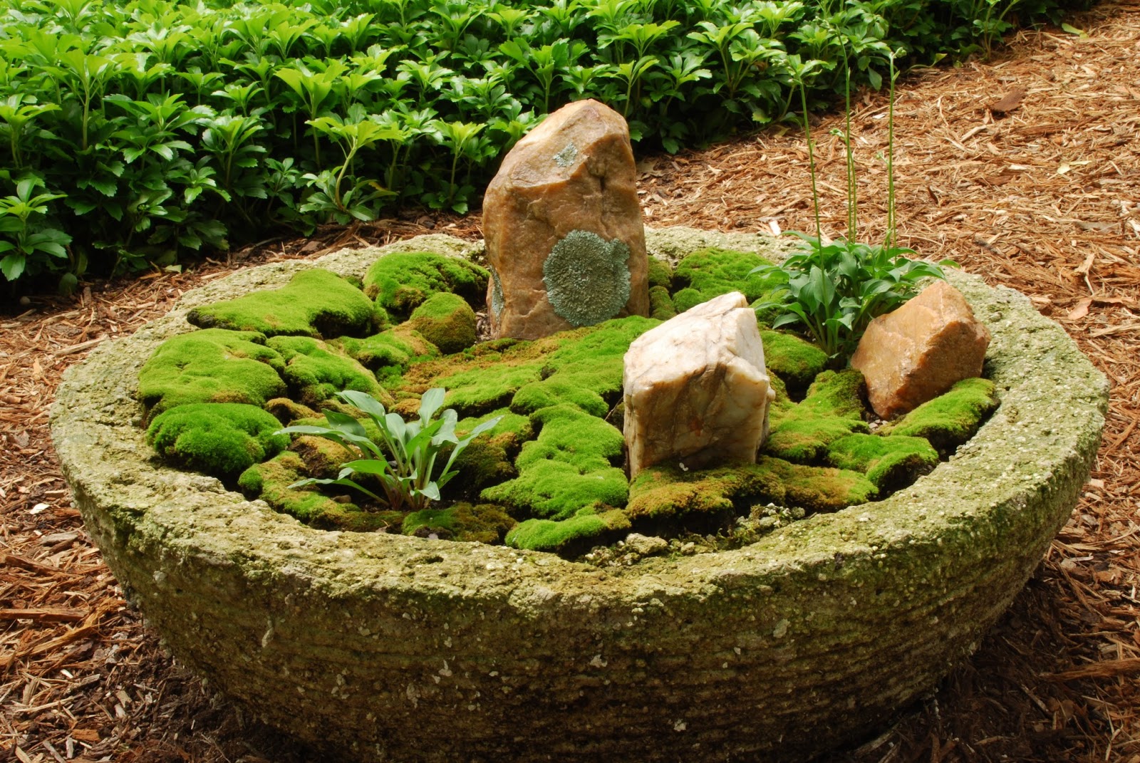 Rotary Botanical Gardens Hort Blog Making Of A Moss Garden