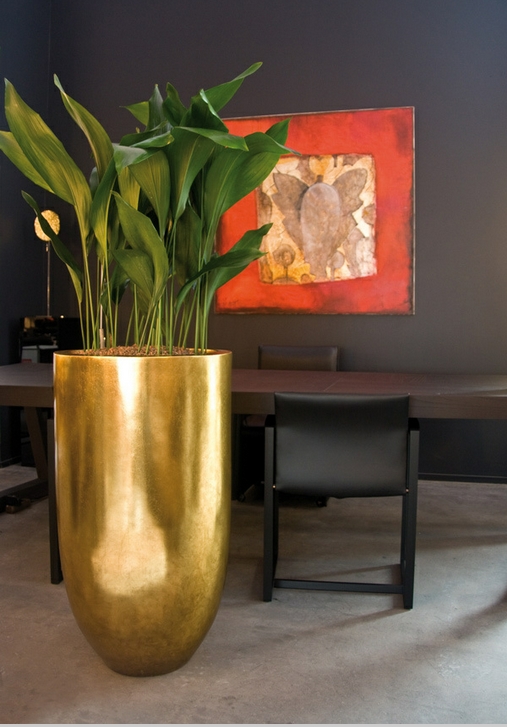 Xardinnova: MACETAS PARA INTERIORES