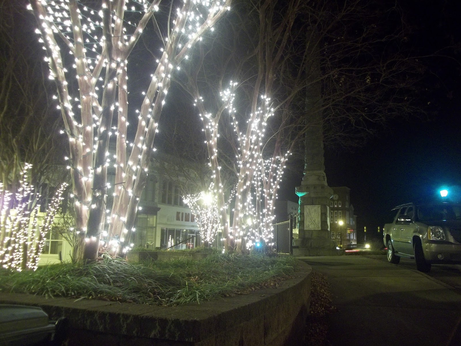 Southern Fried Common Sense & Stuff Christmas Lights In Downtown Chester