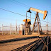 Funcionario de Libia prevé que Opep ajuste su producción de petróleo a meta acordada