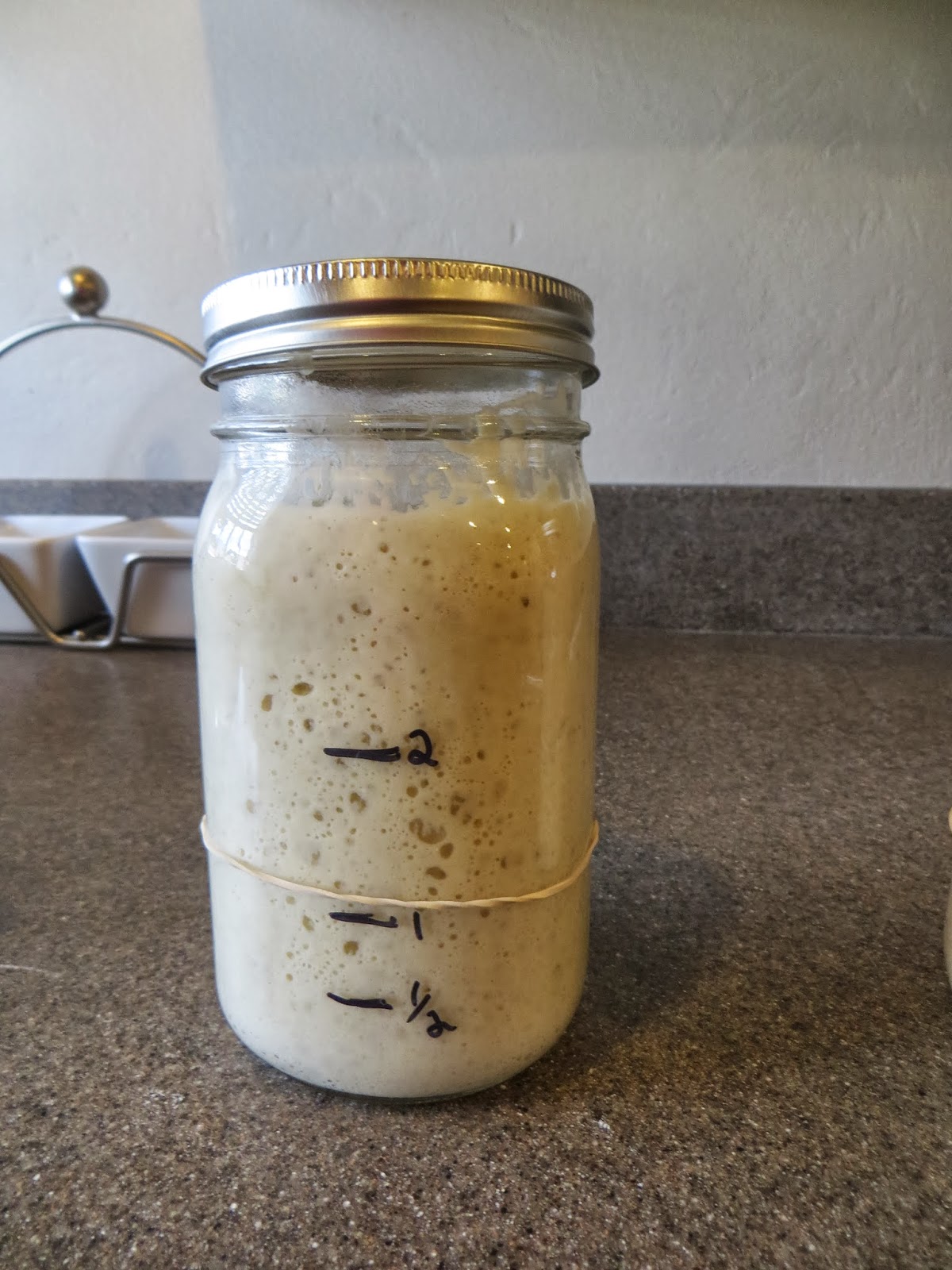 Adventures with Natural Yeast Feeding Your Natural Yeast