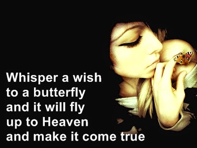 A butterfly wish