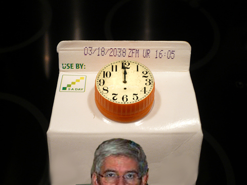 Dizgraceland: Another 365 days