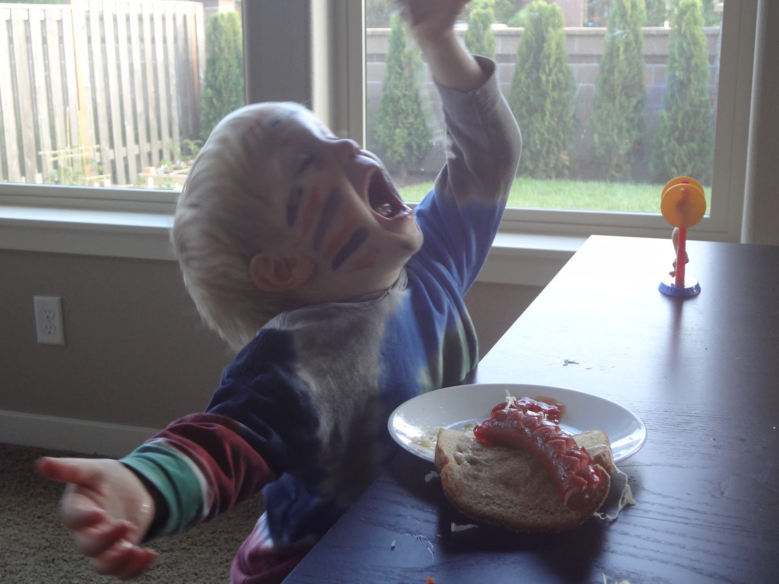 How to Eat a Hot Dog and other Helpful Hints