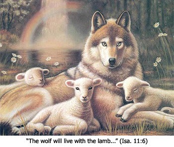 lamb wolf together feed isaiah scripture light