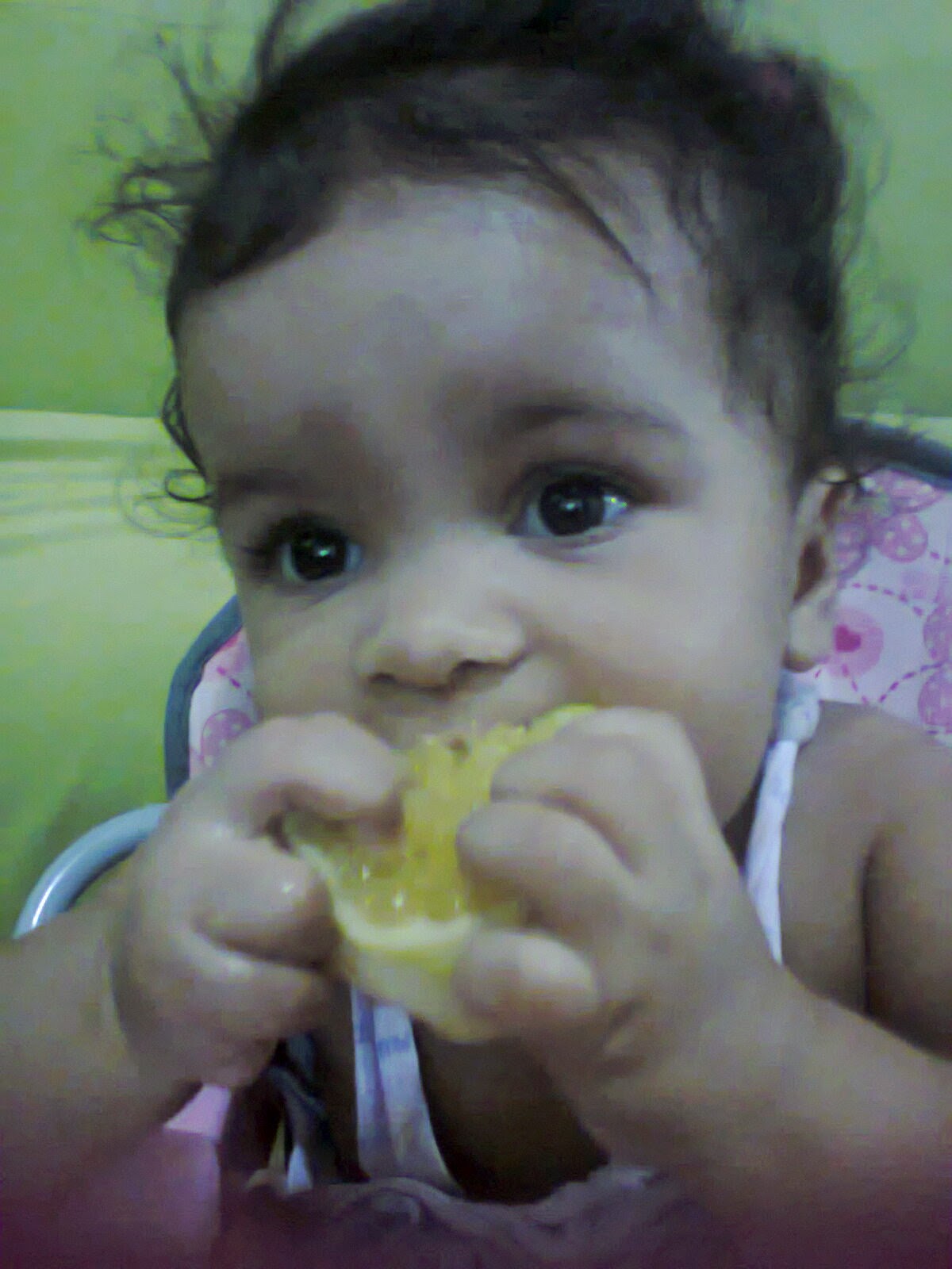 Sophia com 7 meses