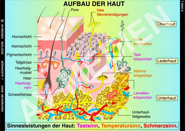 Die Masken auf die Person von der Milch