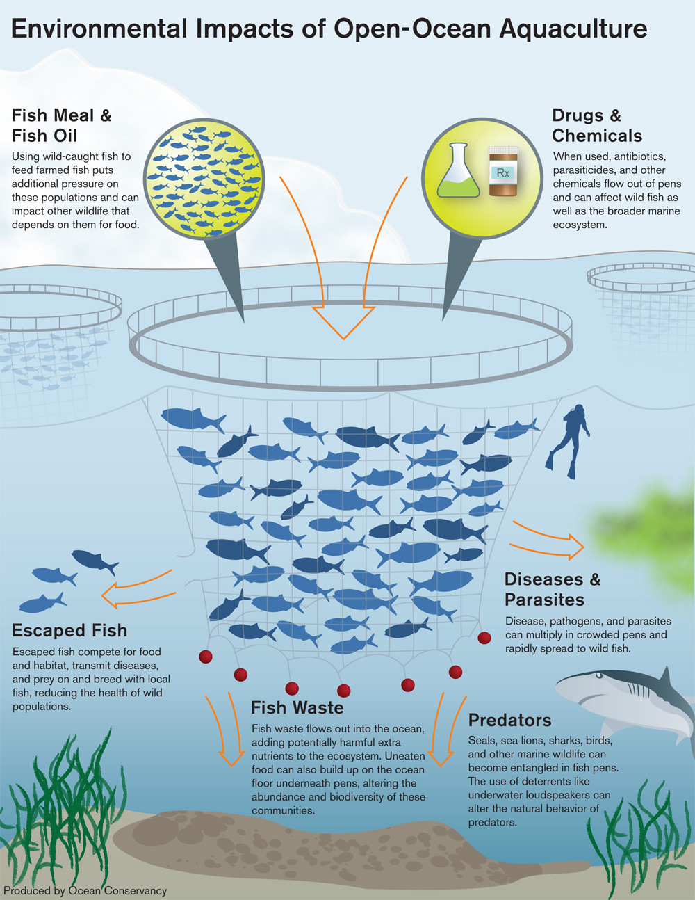 Fish Culture For Class 9 at James Dickenson blog