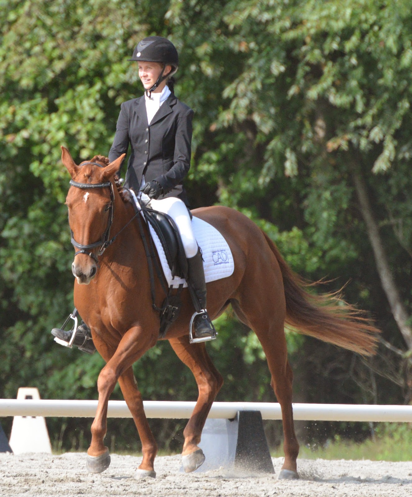 GAIG Region 1 Dressage Championships 2014. Horse Whiskers...