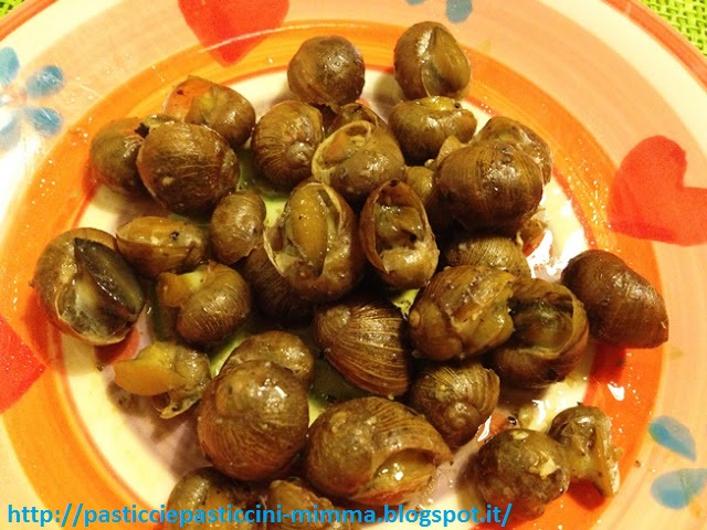 Come allevare escargot