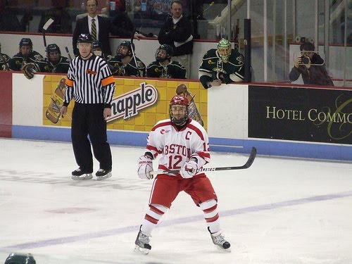 Bu Terriers