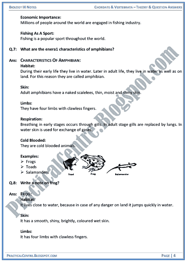 chordata-and-vertebrata-theory-and-question-answers-biology-ix