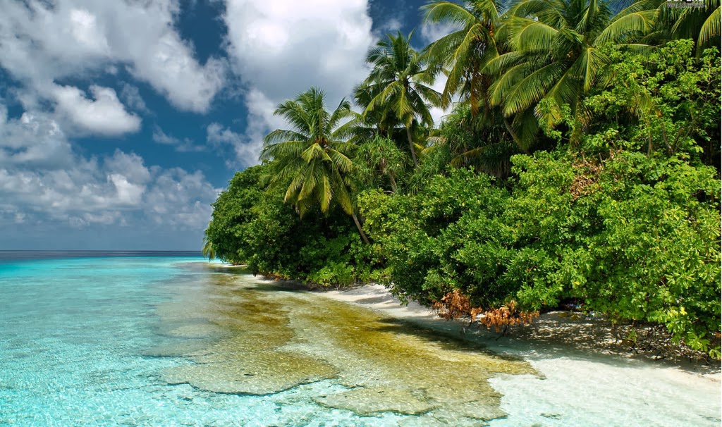 Outrigger On The Lagoon Amp Sheraton Resort Best Wallpaper