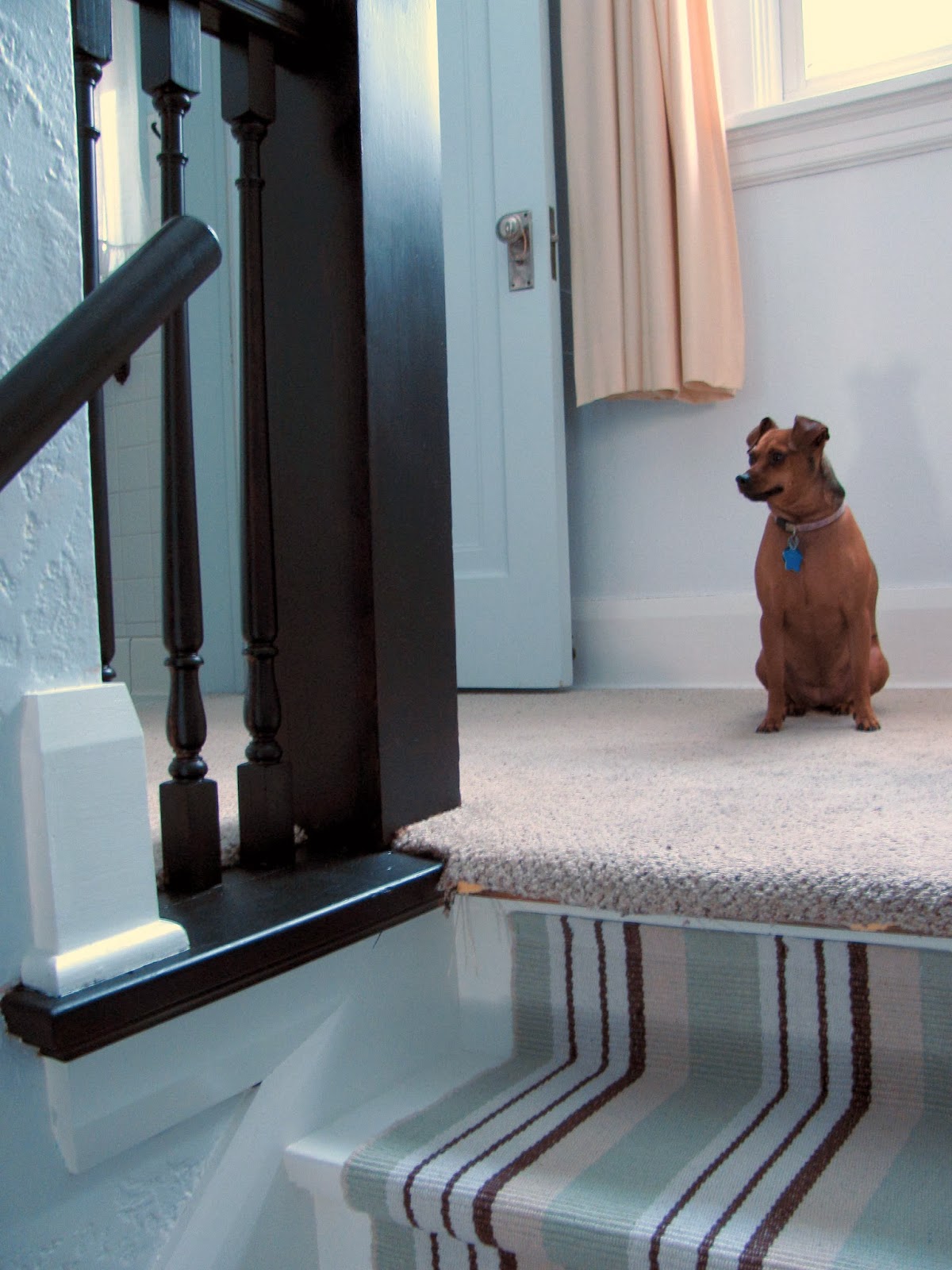 Dash and Albert stair runner installation