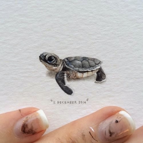 04-Leatherback-Turtle-Lorraine-Loots-Miniature-Paintings-Commemorating-Special-Occasions-www-designstack-co