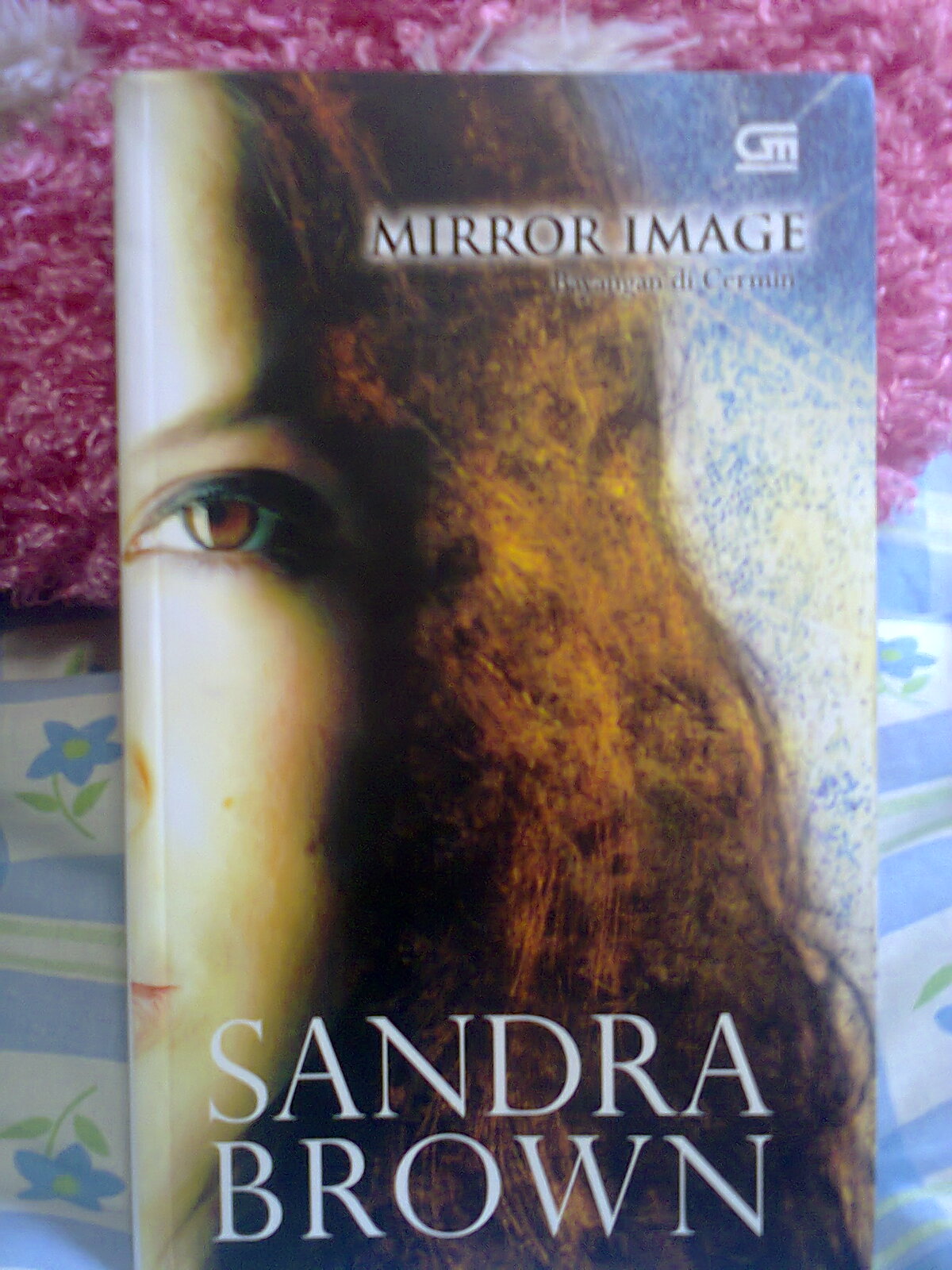 Novel Terjemahan Karya Sandra Brown: Cerita Seru Dengan Karakter Yang Menggugah