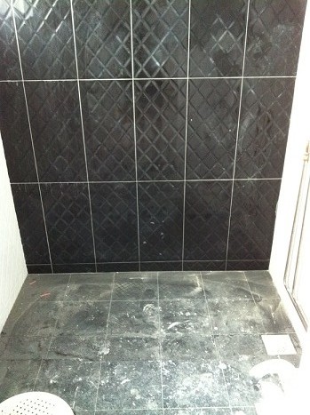 mbr+toilet+grout+lines.JPG