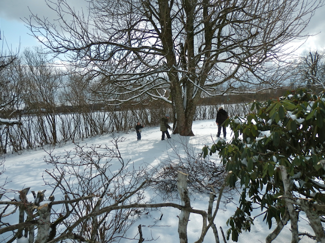 сравнительная Пасха 