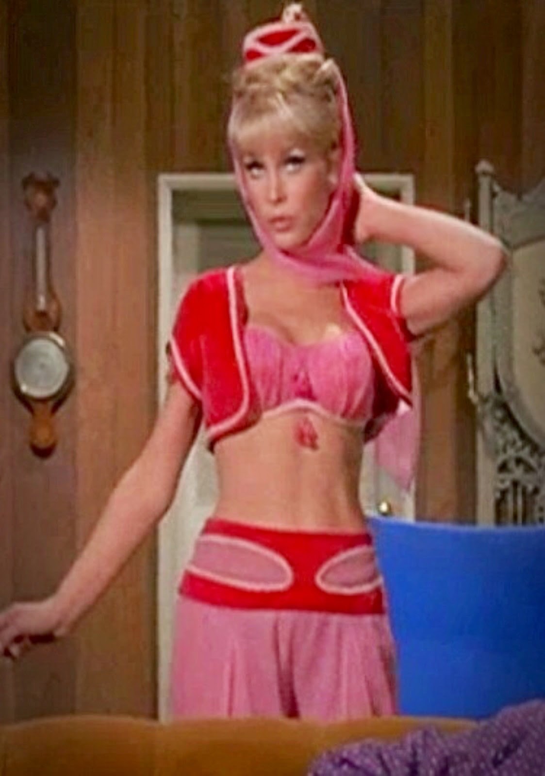 Barbara eden sexy pic