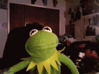 gifanimation-0010.gif
