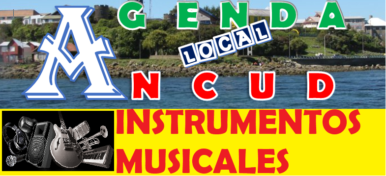 INSTRUMENTOS MUSICALES