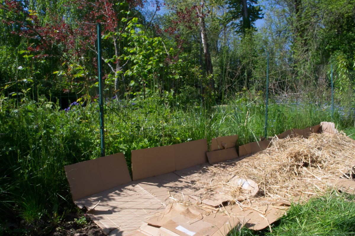 TRULY ORIGINAL ORGANICS Back yard Straw Garden