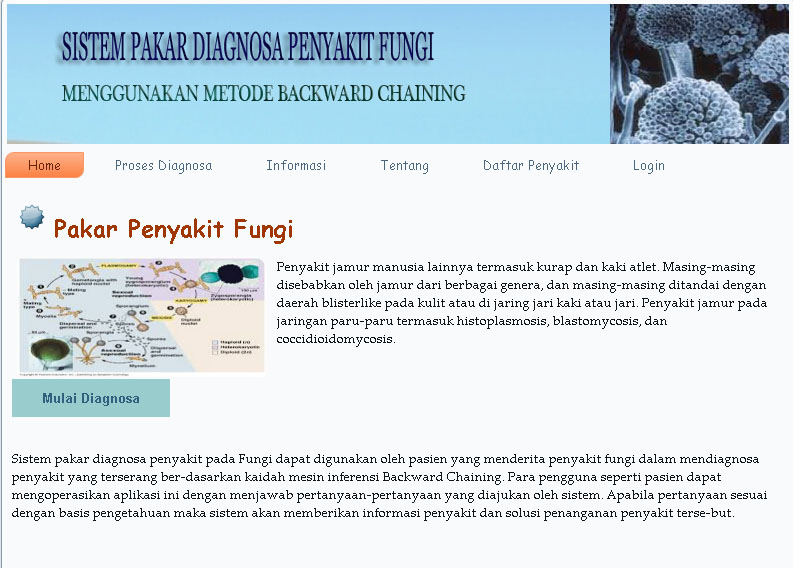 Piramida Skripsi Sistem Pakar Diagnosa Penyakit Fungi Dengan Menggunakan Metode Backward Chaining Dengan Php Mysql