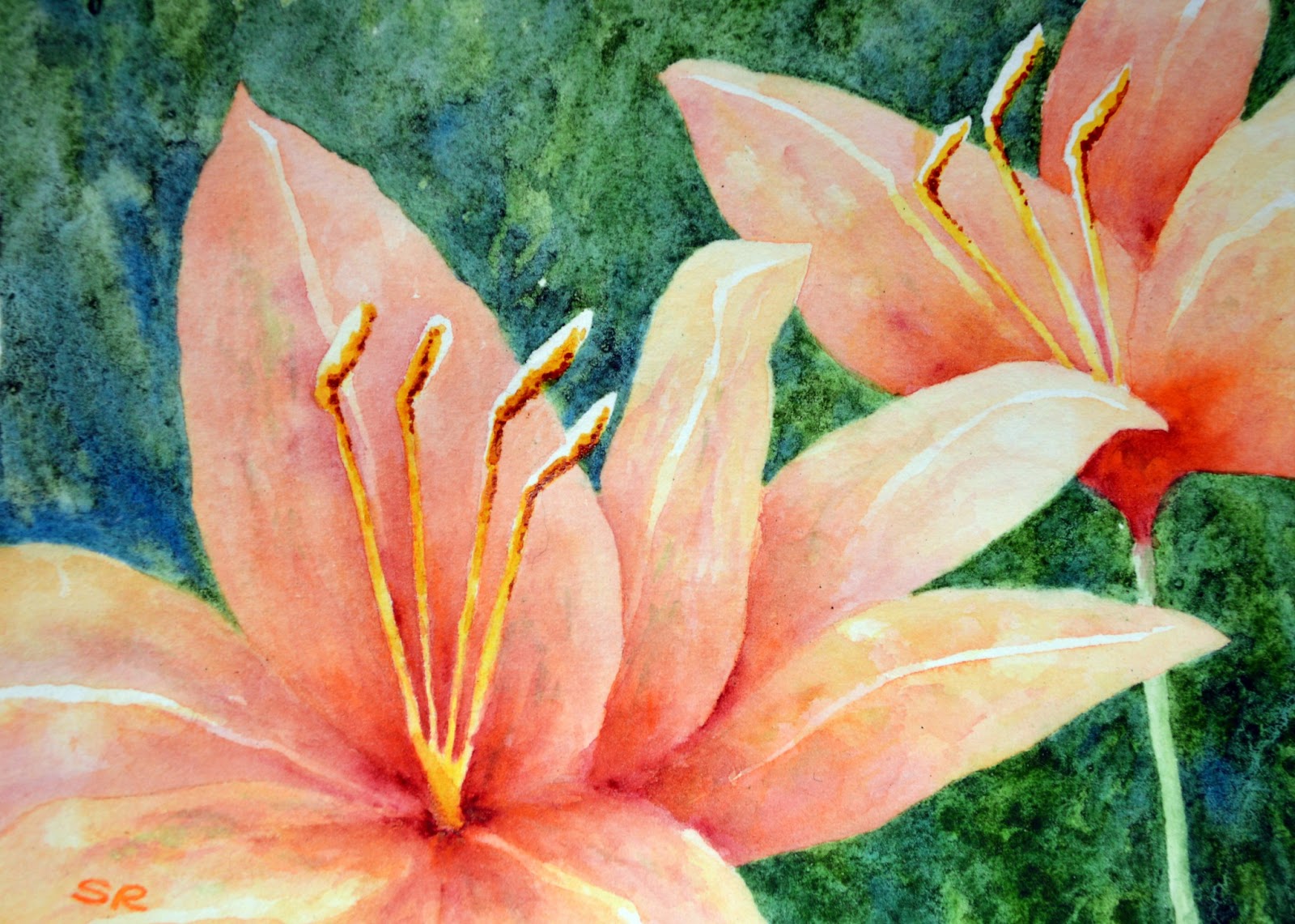 Sarah Rosedahl's Blog