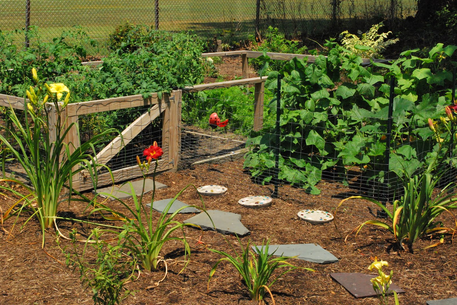 Greenish Thumb Delaware Gardens (part 2 of 3) Milton Garden Tour and