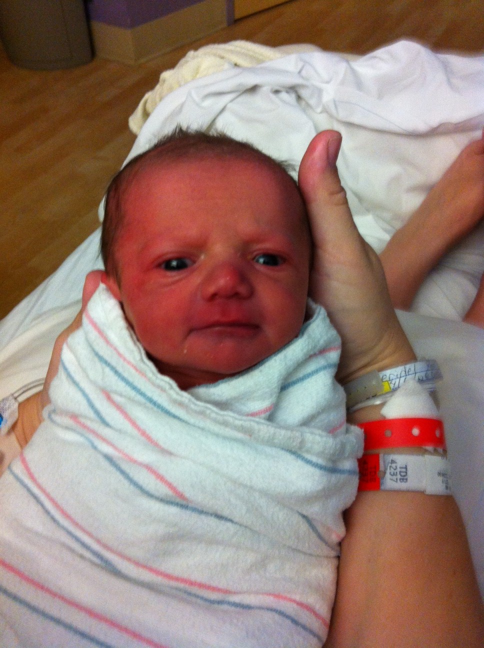 Baby Cliff Notes About Cliff