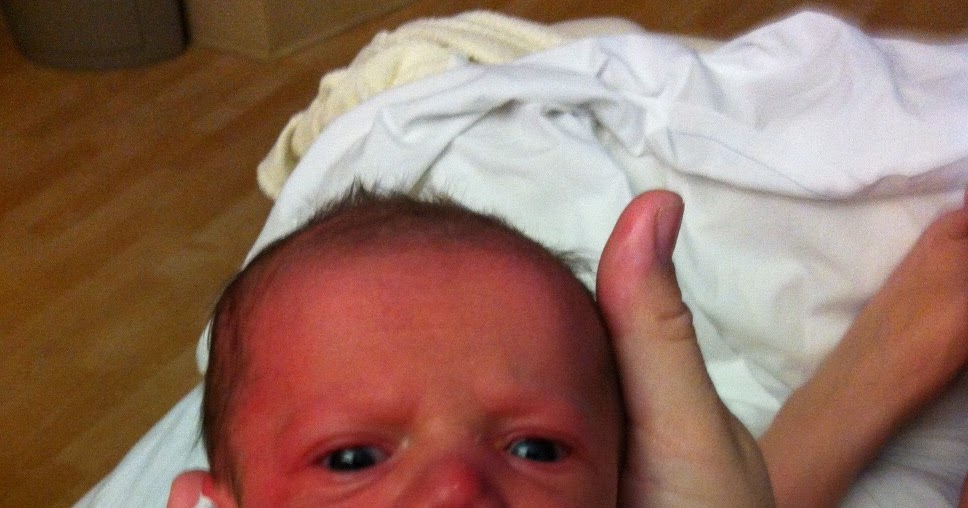 Baby Cliff Notes About Cliff