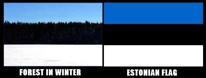 Image result for estonian flag forest