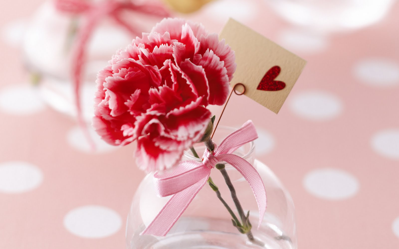 SUN SHINES Romantic Flowers Wallpapers