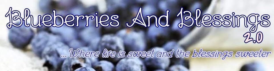 Blueberries And Blessings 2.0