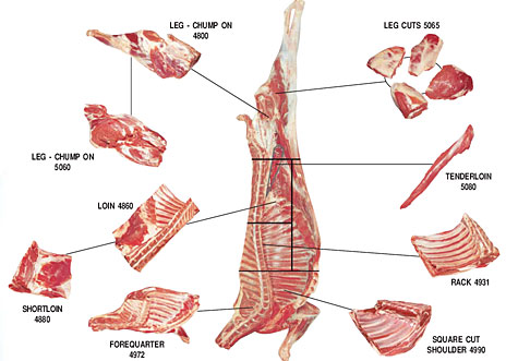 taste of ministry goat parts chart goat chart