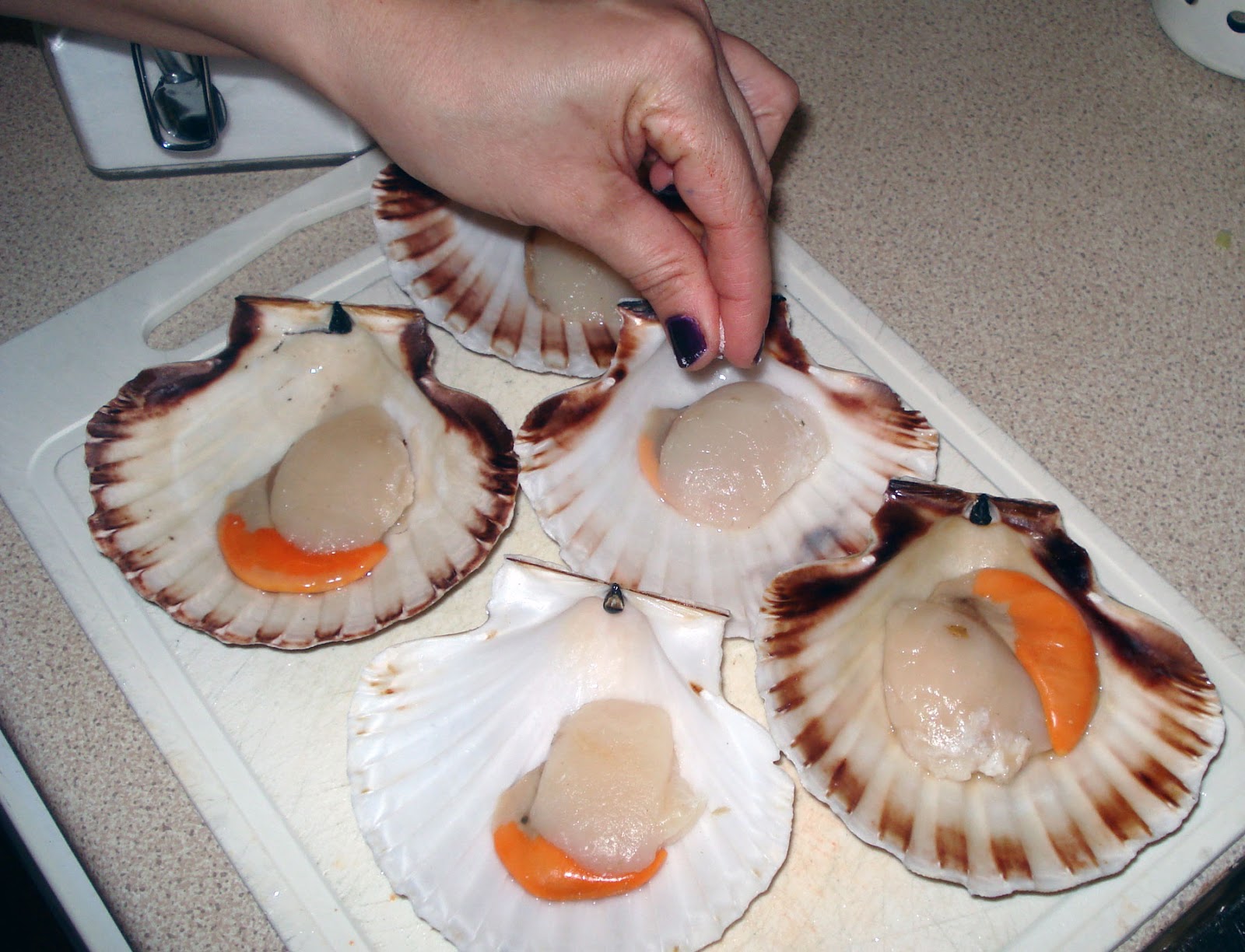 King Scallops in Tomato Sauce Homemade Tapas