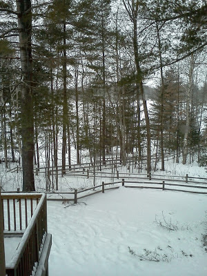 Window view from the Kettunen Center. February 2013