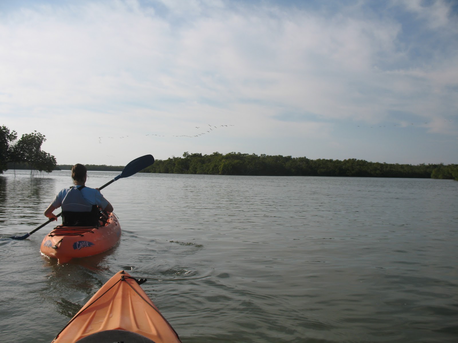 Everglades Tours Kayaking in the 10,000 islands Everglades National Park.
