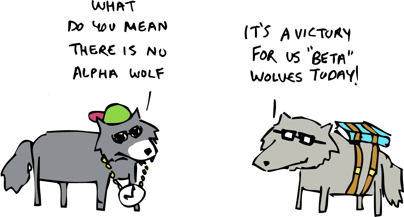 Sketchy Science The Alpha Myth The Real Science Of Wolf Packs
