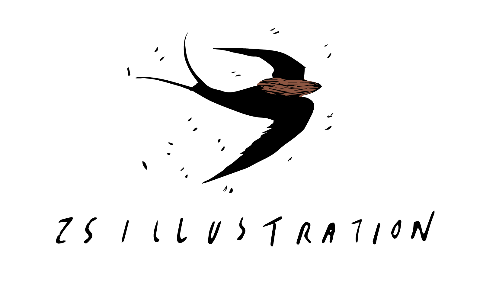 zs illustration