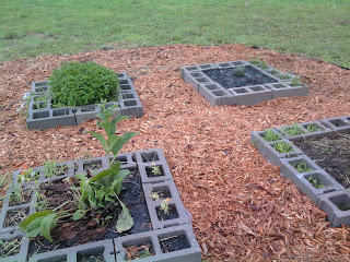 Cinder Block Raised Garden Bed