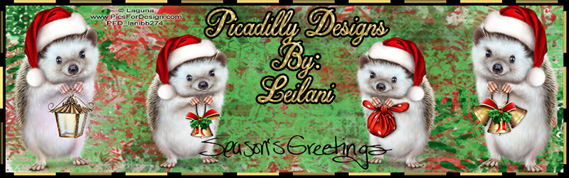 Picadilly Designs Main Page