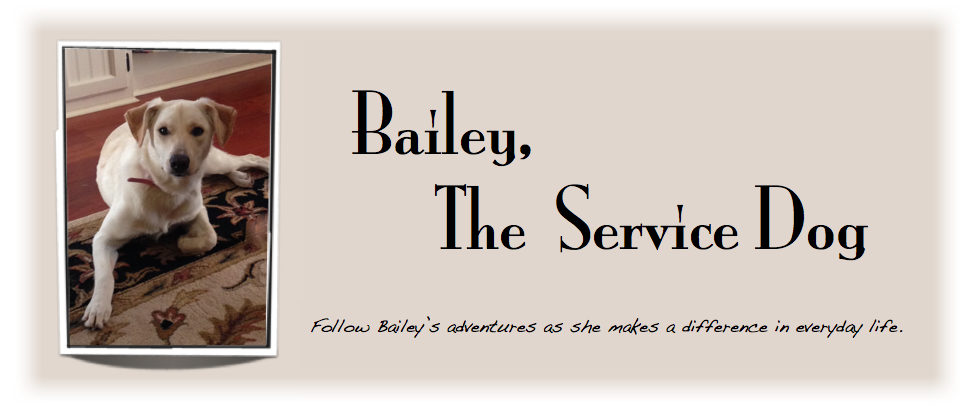 Bailey The Service Dog