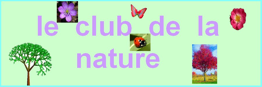 le club de la nature