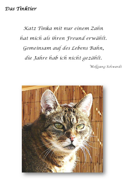 Katzen Kultur Page 4 Chan 39765561 Rssing Com