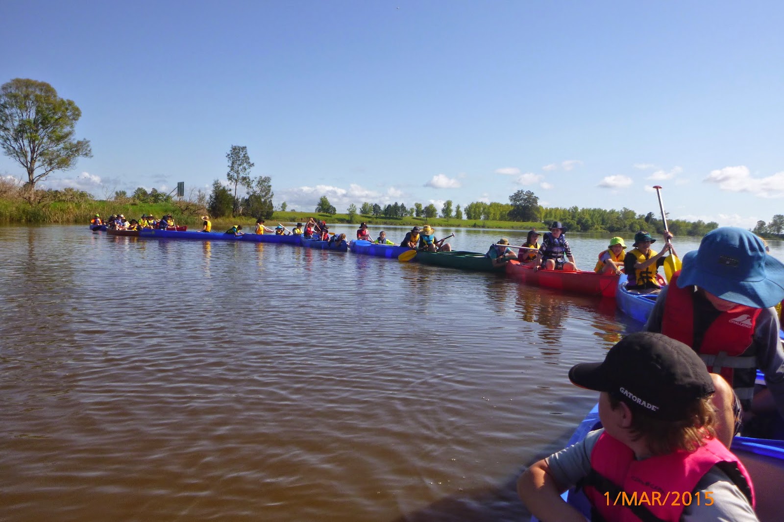 Coffs Harbour Scout Group Grafton Canoe Regatta