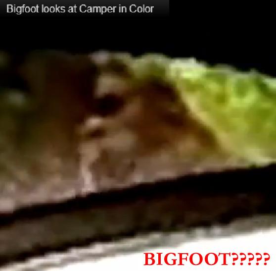 Bigfoot Video From Tent
